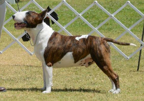 GCH Soquel Millenium Seafarer, ROM