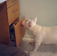 Anna opens the drawer