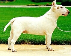 Ch Nuance Newport News