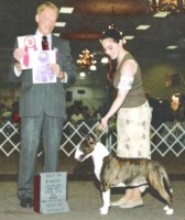 Ch Nuance Nonchalance, ROM 