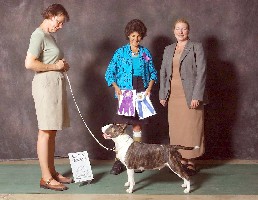 Am/Can Ch Nuance Night and Day, ROM