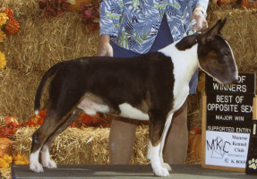 Nuance Night to Remember