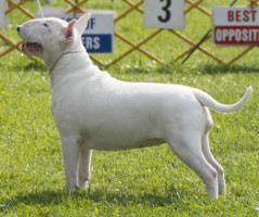 Nuance None of Your Biz at Foxairn