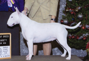 Ch Nuance Nonetheless